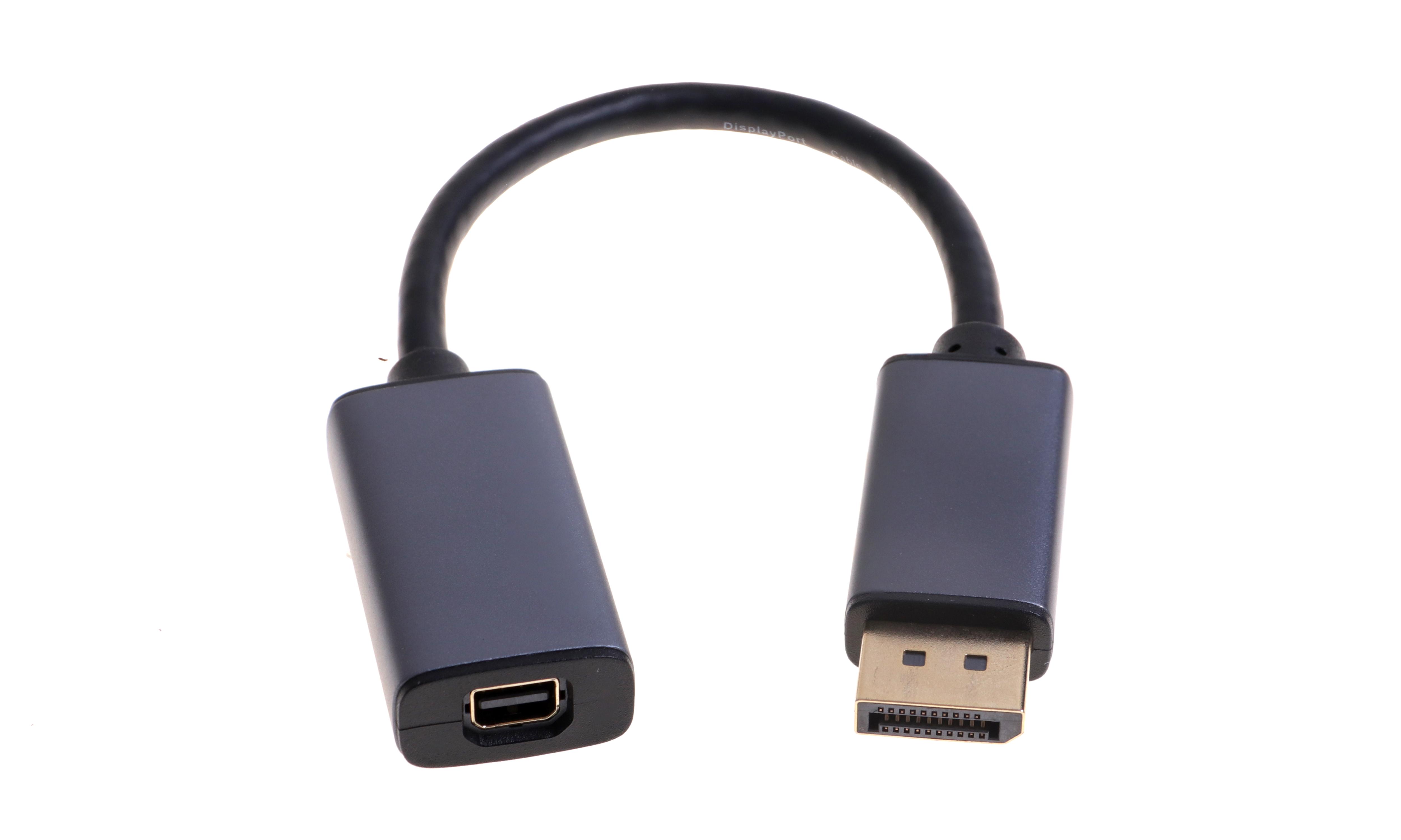 DP 1.4 A male to  Mini DP female Adapter